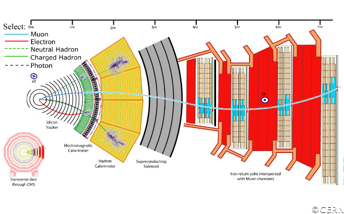 CMS_Slice_muon